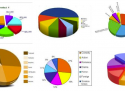 pie chart