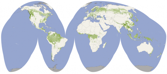 Global forest heights mapped by NASA
