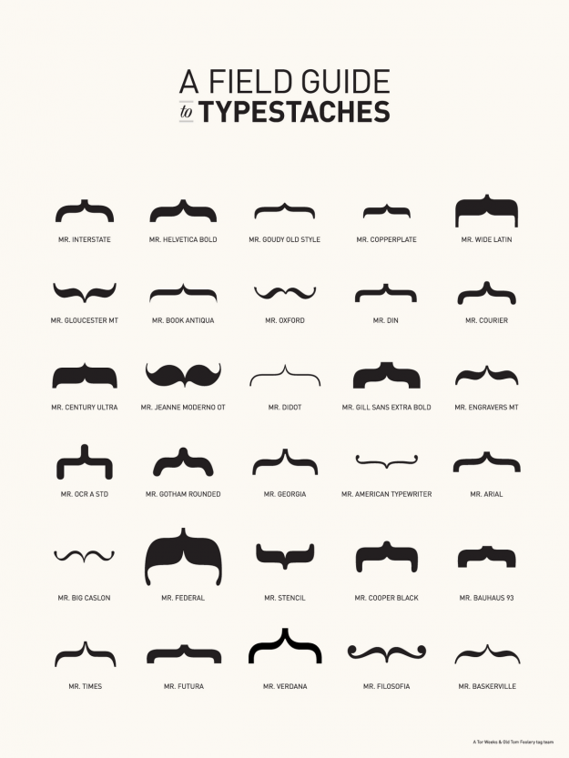 Typestaches infographic