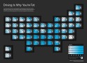 Obesity rates and exercise infographic