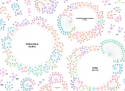 Soft drink industry - network diagram