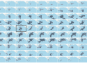 Tracking the oil spill in the Gulf