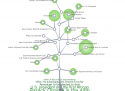 Family+career+tree