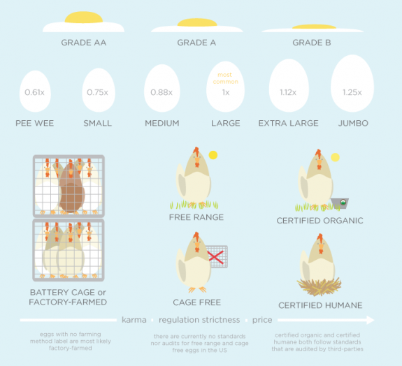 Egg guide partial