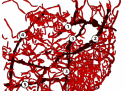 Traffic hotspots