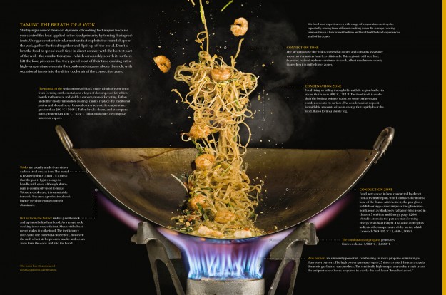 Wok Cutaway