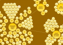 Who owns the beer