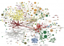 flavor network cropped