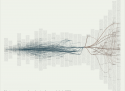 Citeology