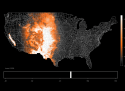 Bird migration