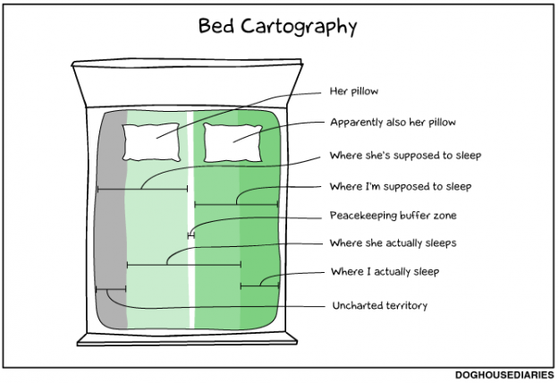 Bed Cartography by Doghouse Diaries