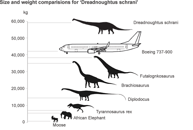 Dinosaurs versus airplane