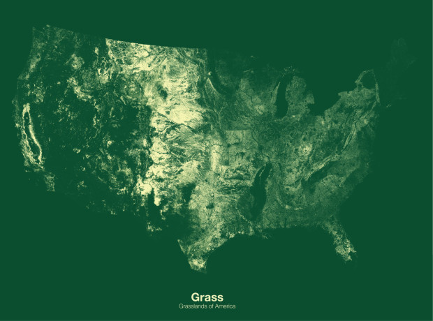 Grass minimal map
