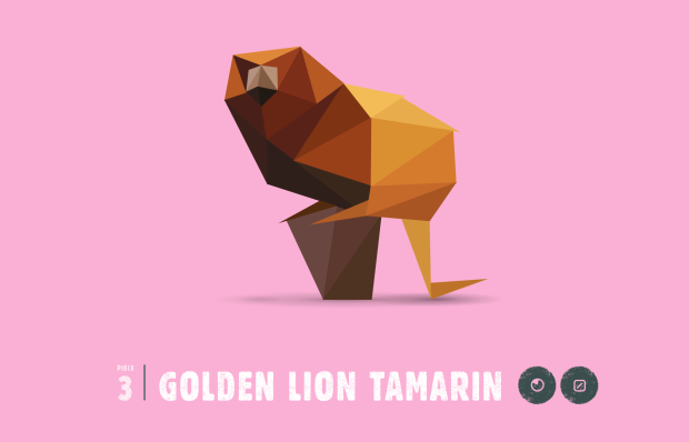 Golden lion tamarin