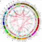 Researchers Map Chaos Inside Cancer Cell