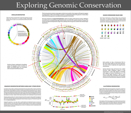 Visualize Genomes and Genomic Data – Circos