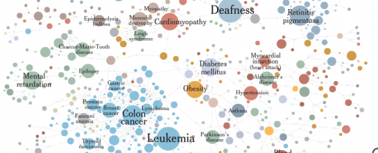 Mapping the Human Diseasome With a Network Graph Mapping the Human Diseasome With a Network Graph