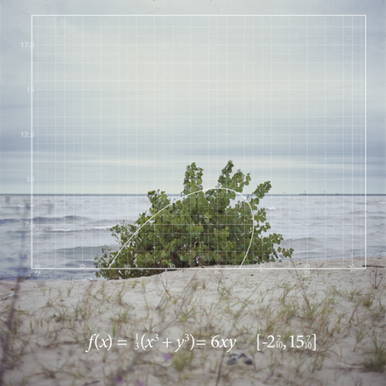 Math Functions in the Real World