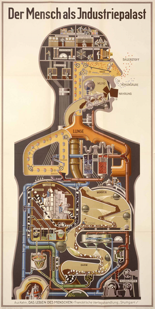 Man as Industrial Palace, Animated