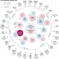 Detailed View of the Kennedy Family Tree