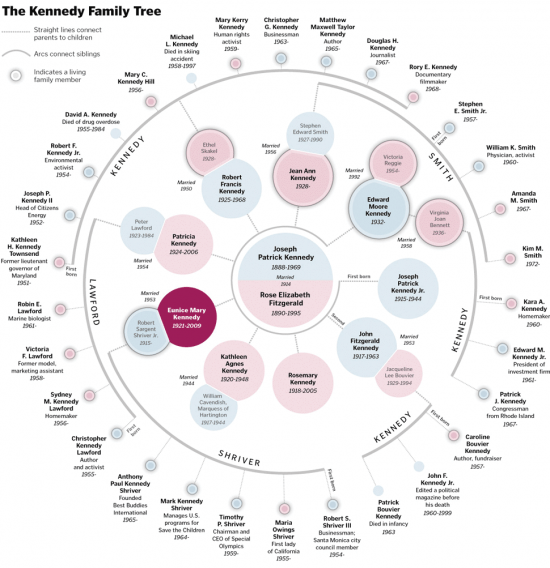 the kennedy family tree. of the Kennedy.