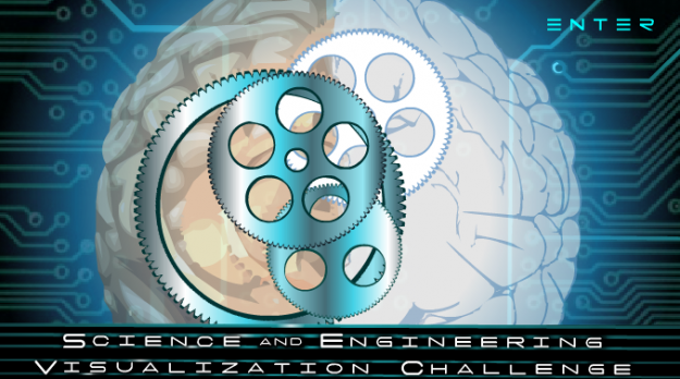 NSF Science and Engineering Visualization Challenge