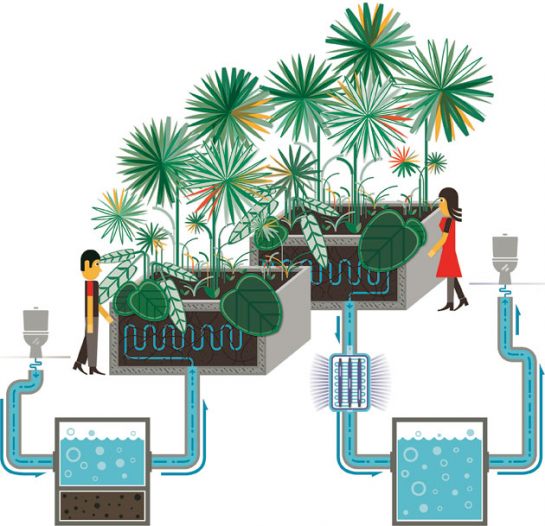 DÃ©jÃ  Poo: Turning Wastewater to Nonpotable Water