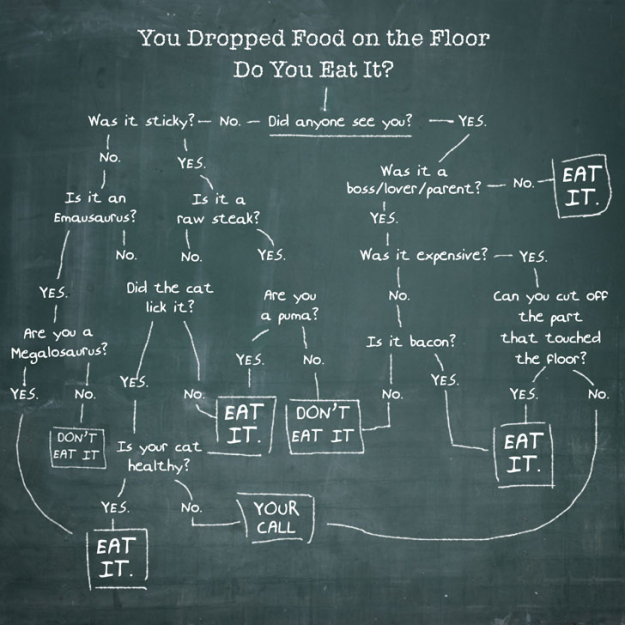 Dropped Food. Should You Eat it?