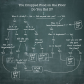 Dropped Food. Should You Eat it?