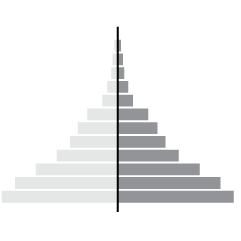 Pyramid Chart