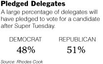 Mega Primary Voting