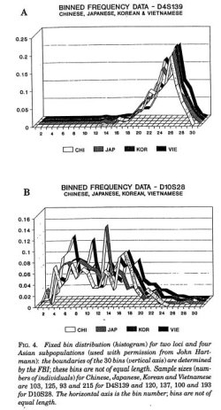 Ribbon Graph