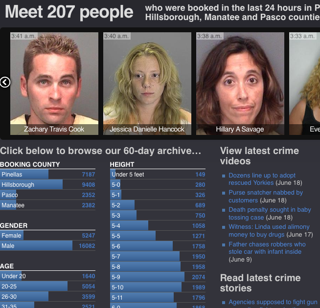 20 Visualizations to Understand Crime FlowingData