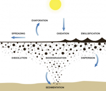 Physics of oil spills explained | FlowingData