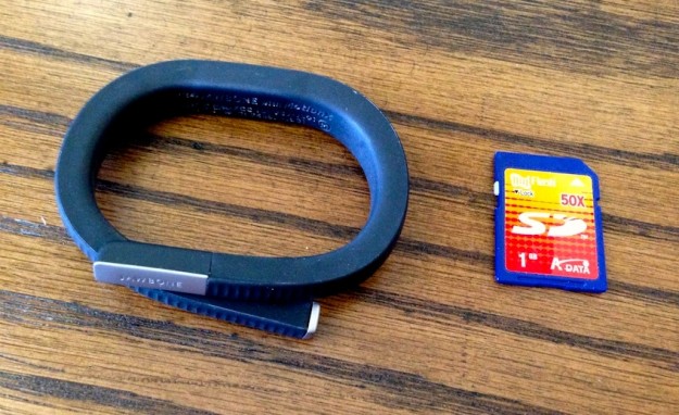 Jawbone with SD card for scale