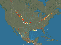 Real-time lightning map | FlowingData