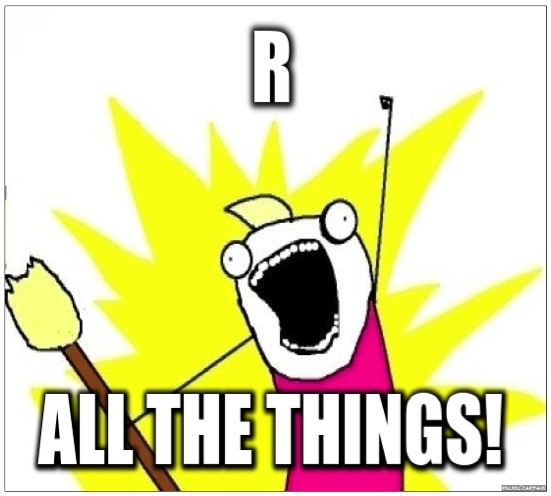 R all the things