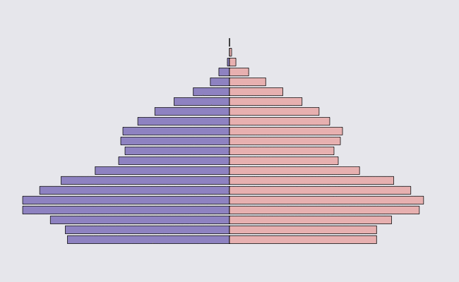 How to Make an Animated Pyramid Chart in R | FlowingData