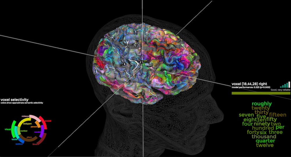 Mapping words to parts of the brain – FlowingData
