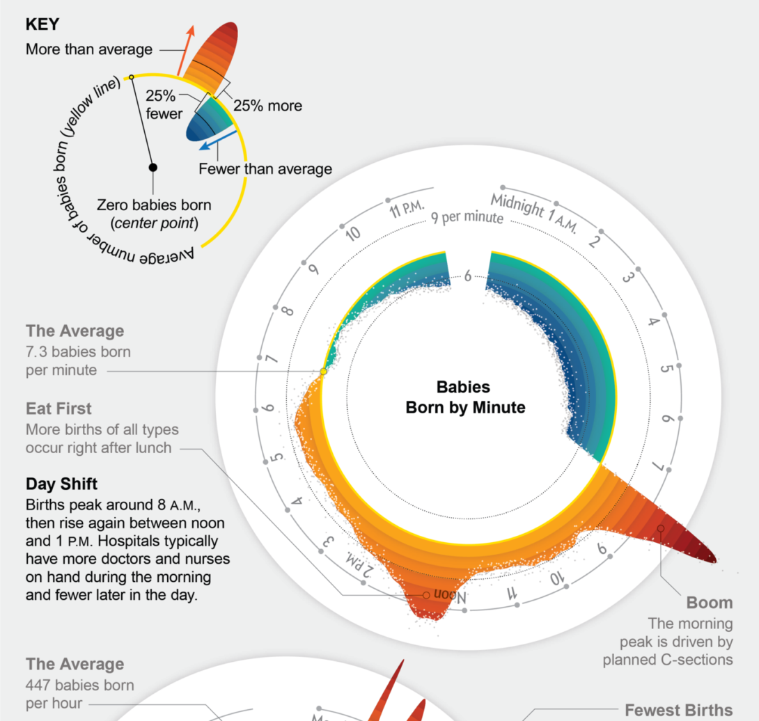 Time Childbirth Normal When babies are born, the cycle – FlowingData
