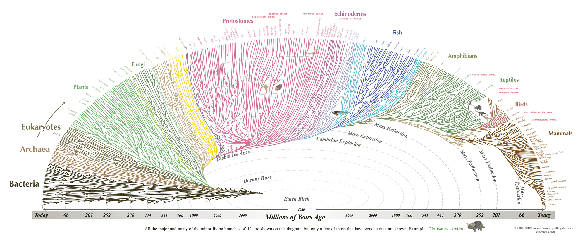 Tree of Life – FlowingData