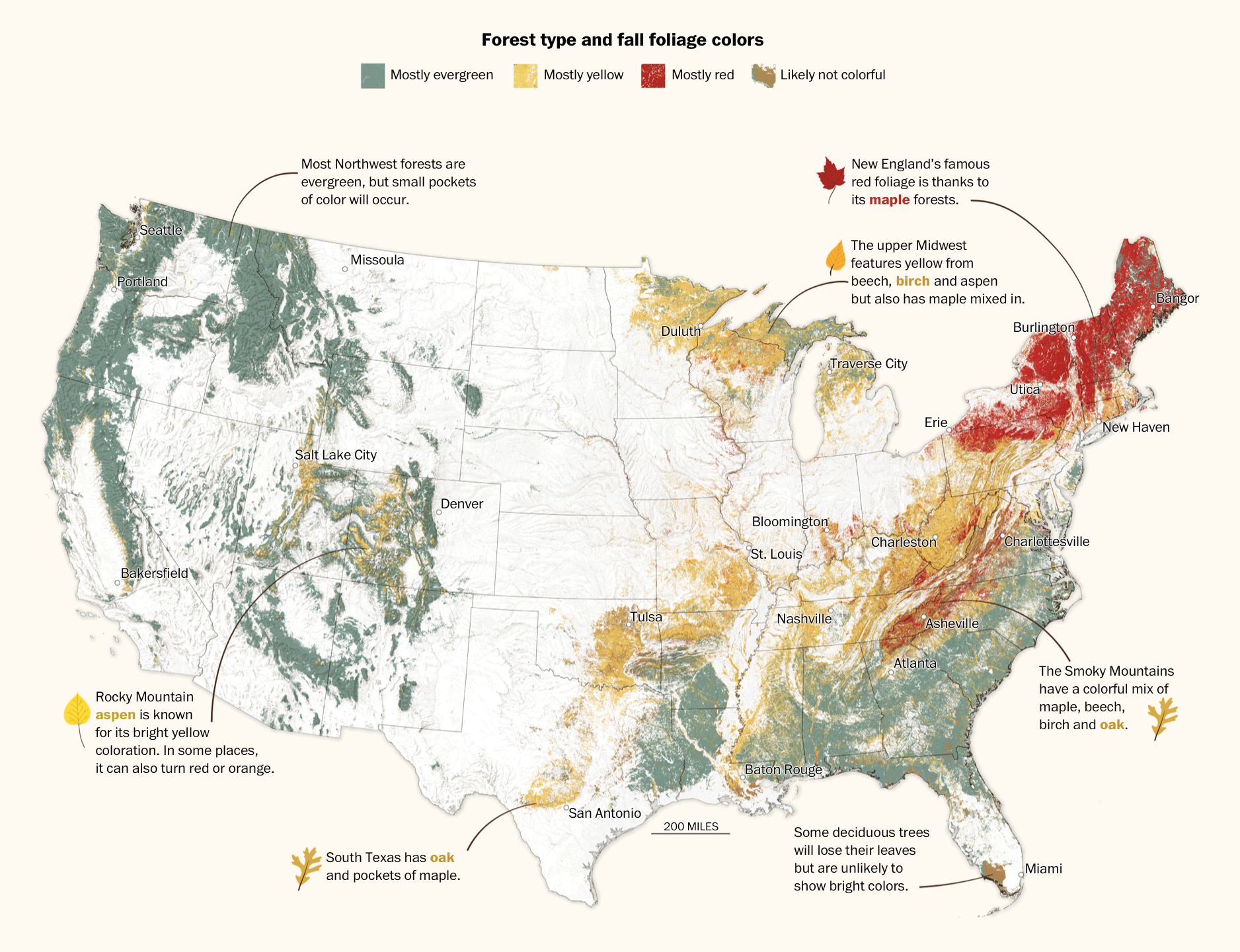 Fall map. Foliage Map is larger.