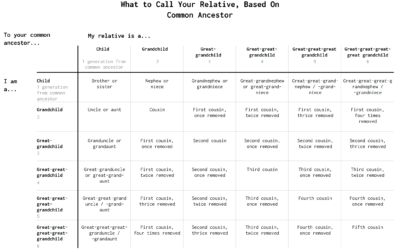 What to Call Your Distant Relative – FlowingData