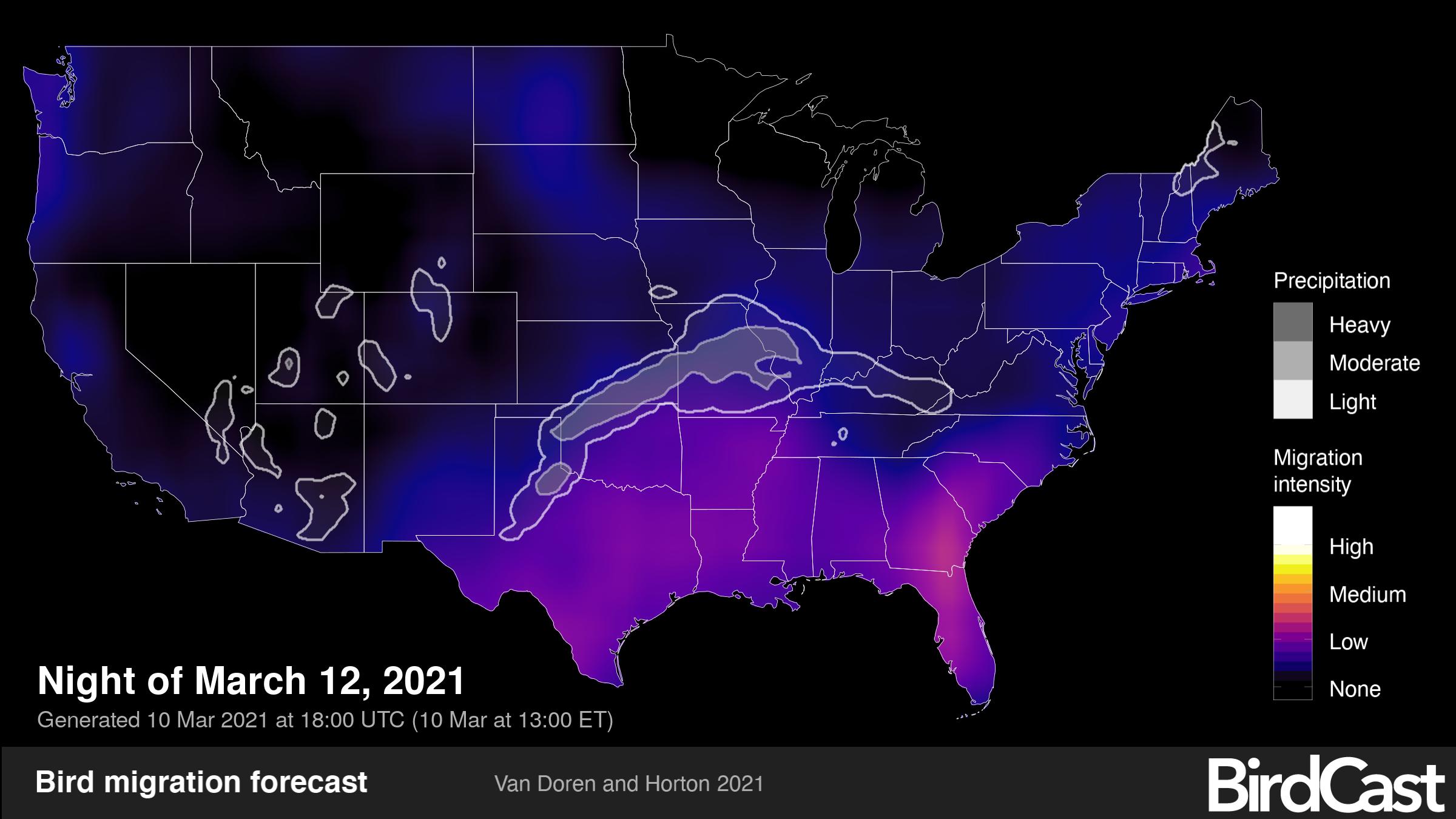 Bird migration forecast maps - Bird Migration From BirdCast