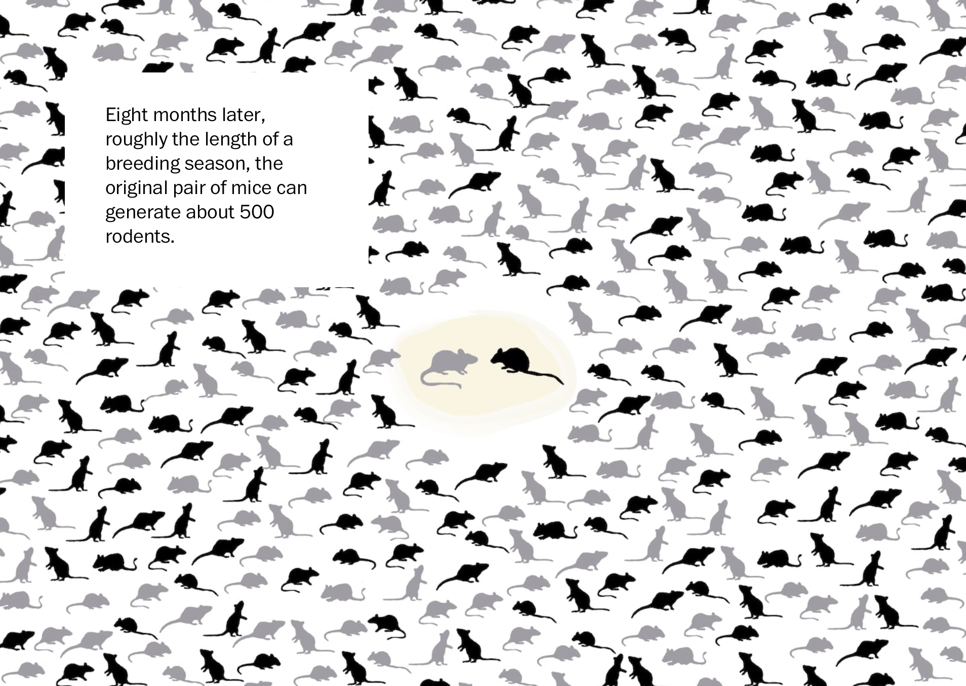 Mouse Population Scale of a mouse plague – FlowingData