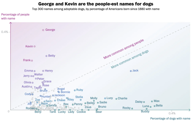 Names That Are More Dog Or More Human FlowingData