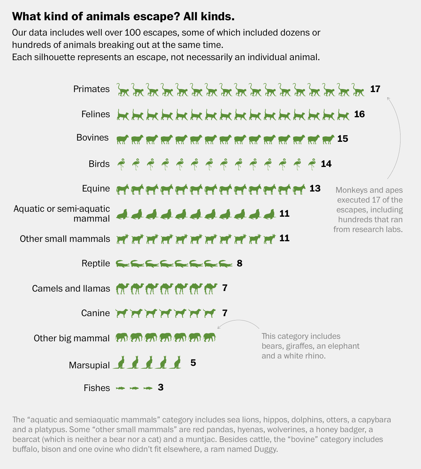 History of zoo animal escapes