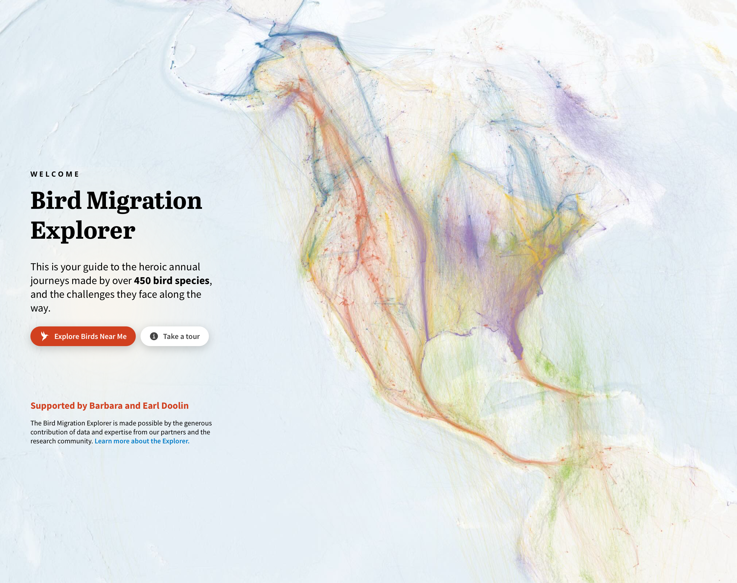 Bird migrations in a map explorer