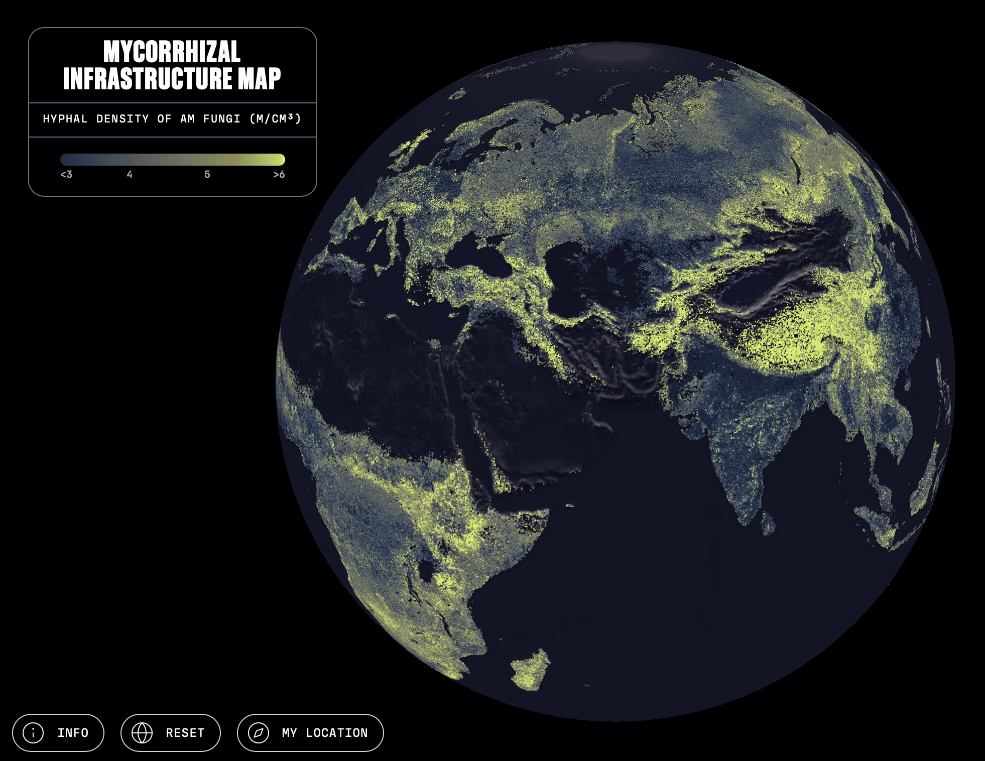 Map of underground fungi network